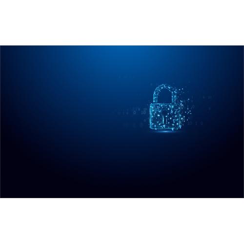 Kingston Technology IronKey 64GB Vault Privacy 50 AES-256 versleuteling, FIPS 197 - Image 5