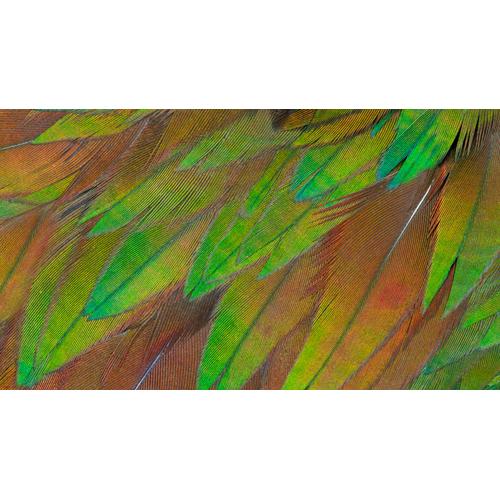 Philips 3000 series 27B1U3900/00 computer monitor 68,6 cm (27") 3840 x 2160 Pixels 4K Ultra HD LCD Zwart - Image 4