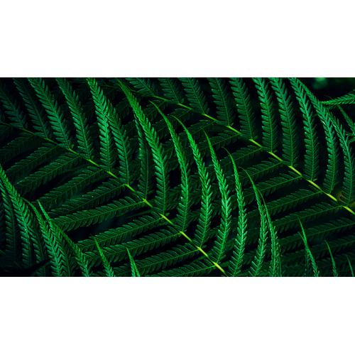 Philips 5000 series 24B2G5301/00 computer monitor 60,5 cm (23.8") 1920 x 1080 Pixels Full HD LCD Zwart - Image 7